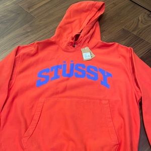 BLOCK SPORT PIGMENT DYED HOODIE - brand new with tags